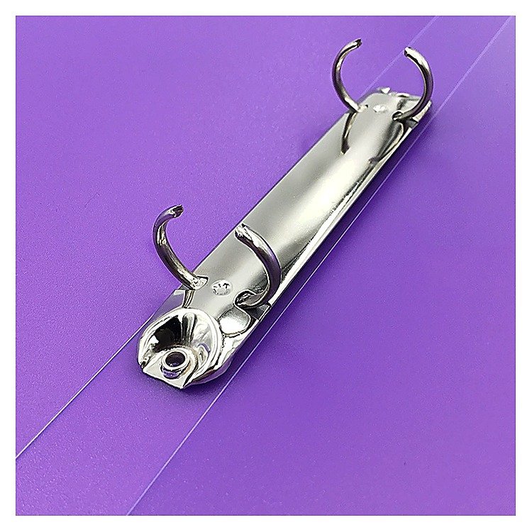 Custom Logo A4 Plastic Loose-leaf Document Folder for School Office Event and Retail Use Clear