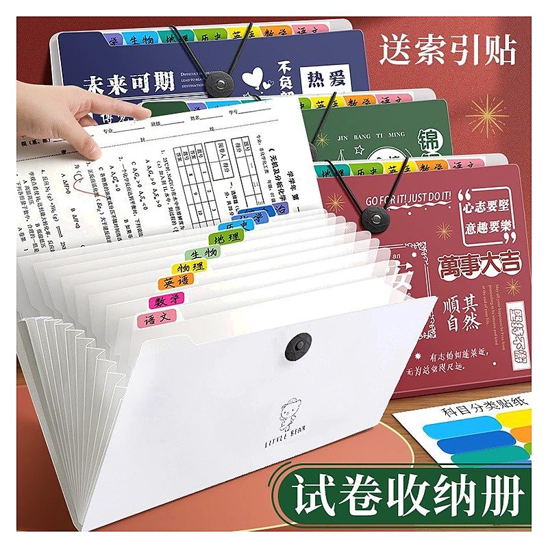 Custom Logo A4 Plastic Storage Document Folder for School Office Event and Retail Edition EC