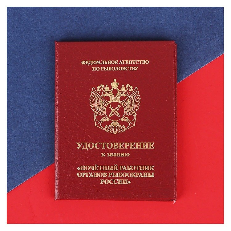 Stationery Item for School Office Event and Retail Use