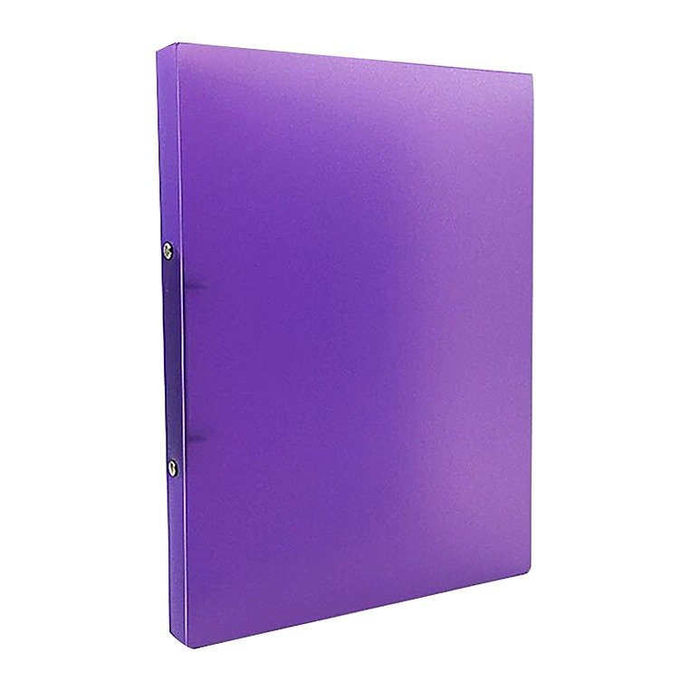 Custom Logo A4 Plastic Loose-leaf Document Folder for School Office Event and Retail Use Clear