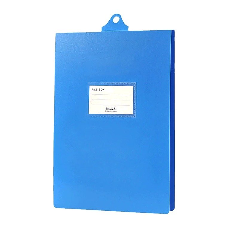 Custom Logo A4 Storage Document Folder for School Office Event and Retail Use Edition DZ