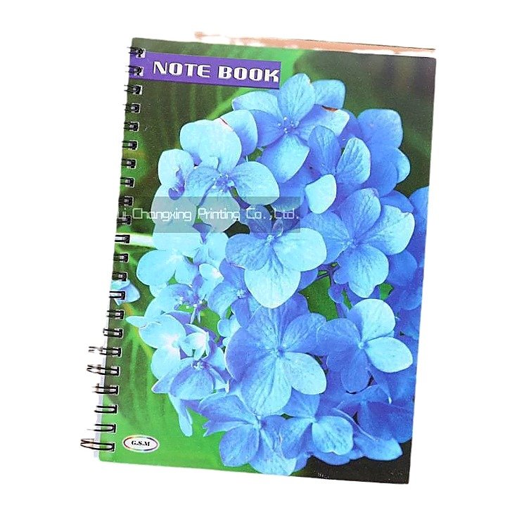 Spiral Grid Notebook